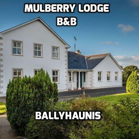 Mulberry Lodge Guest House Ballyhaunis Kültér fotó